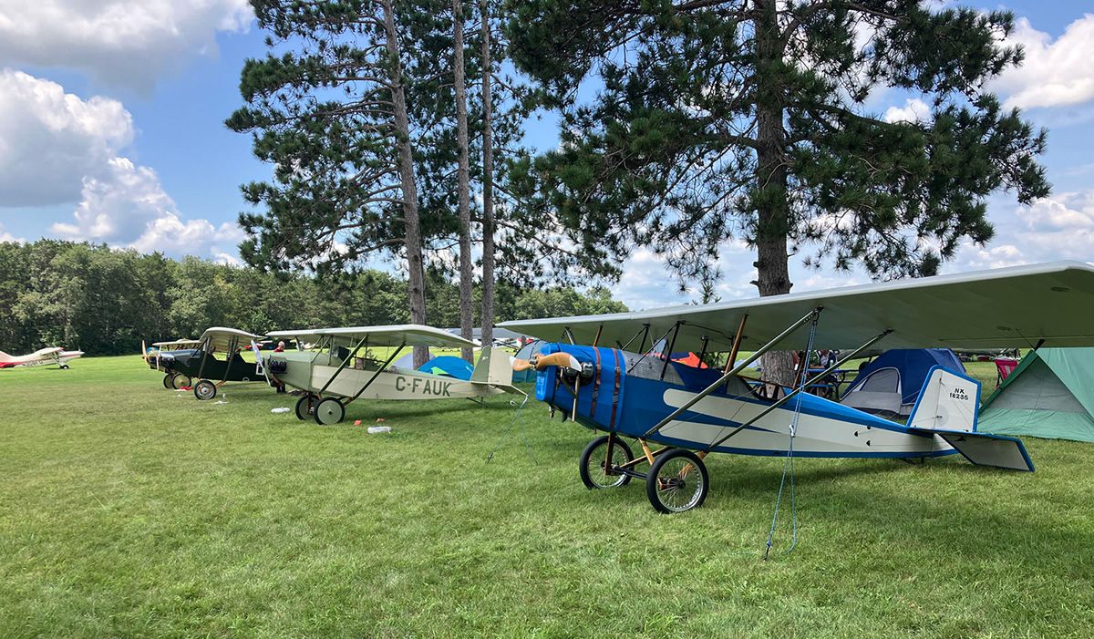 line up of vintage planes on the grass at brodhead